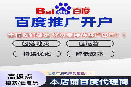 SEM广告投放的技巧与策略——成功案例分享